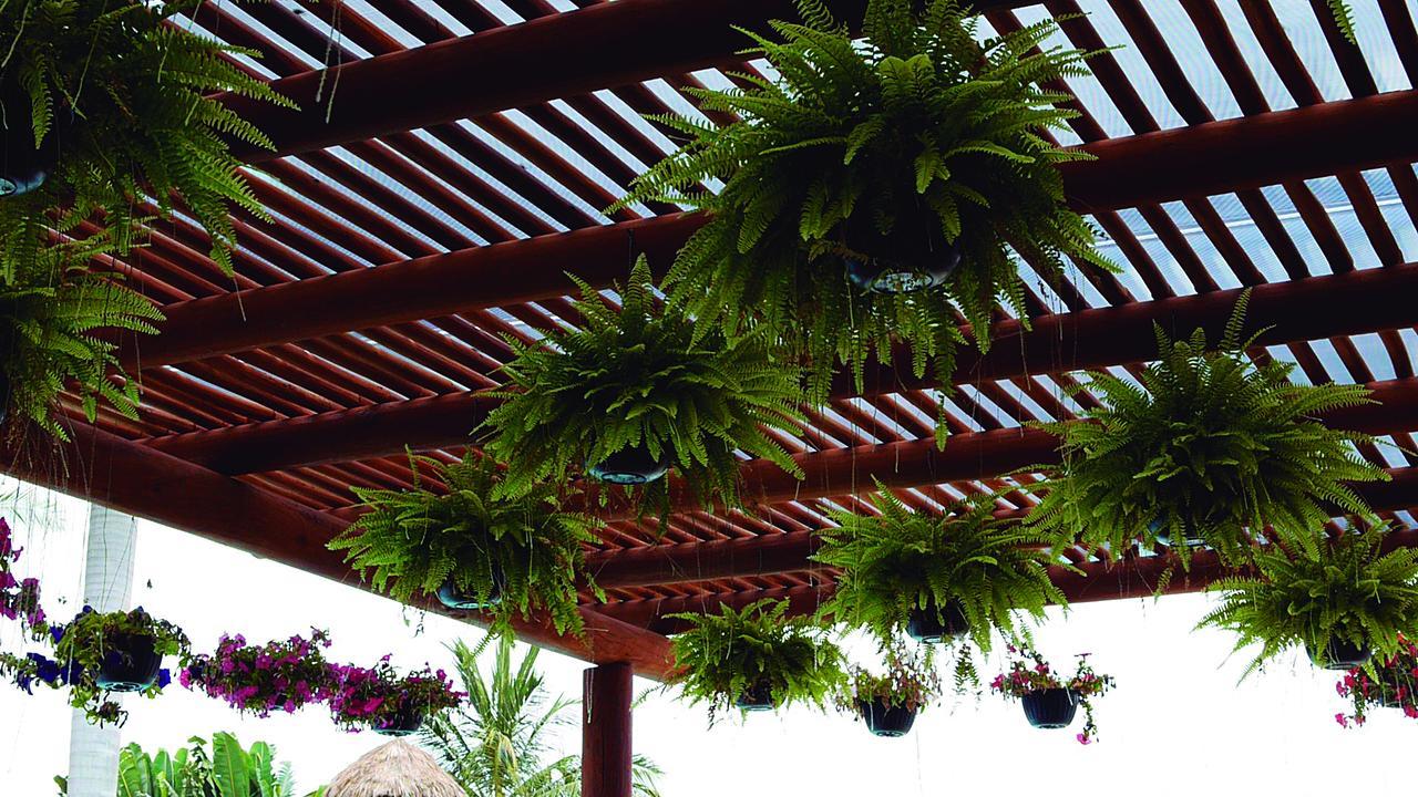 Cabanas Del Capitan Rincon de Guayabitos Luaran gambar